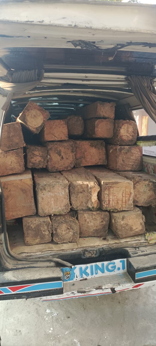 Phulra Police foiled a 3 AM wood smuggling bid in Parheena Bazaar!
Two arrested with pistols, one fled — vehicle and timber seized. 🌲
#PoliceAction #AntiSmuggling