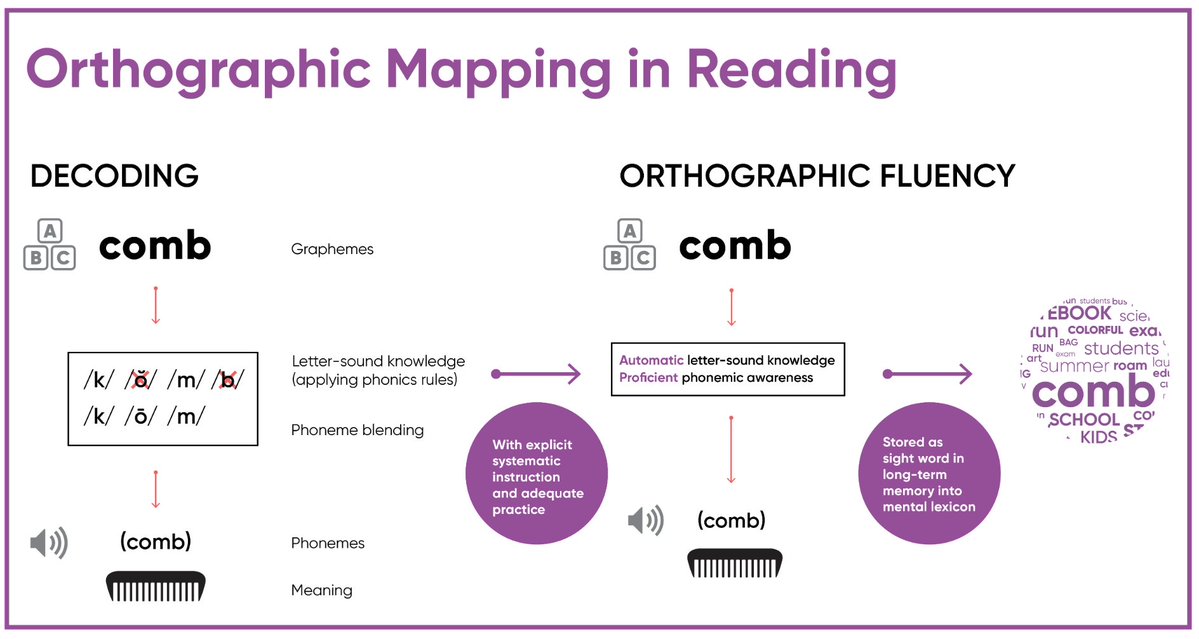 yiran__c's tweet image. Learning to read and spell is a complex process. Orthographic mapping is the brain’s way of linking sounds, letters, and meaning.

I didn’t know this concept when I was a kid learning English, but it perfectly explains why certain methods clicked for me.