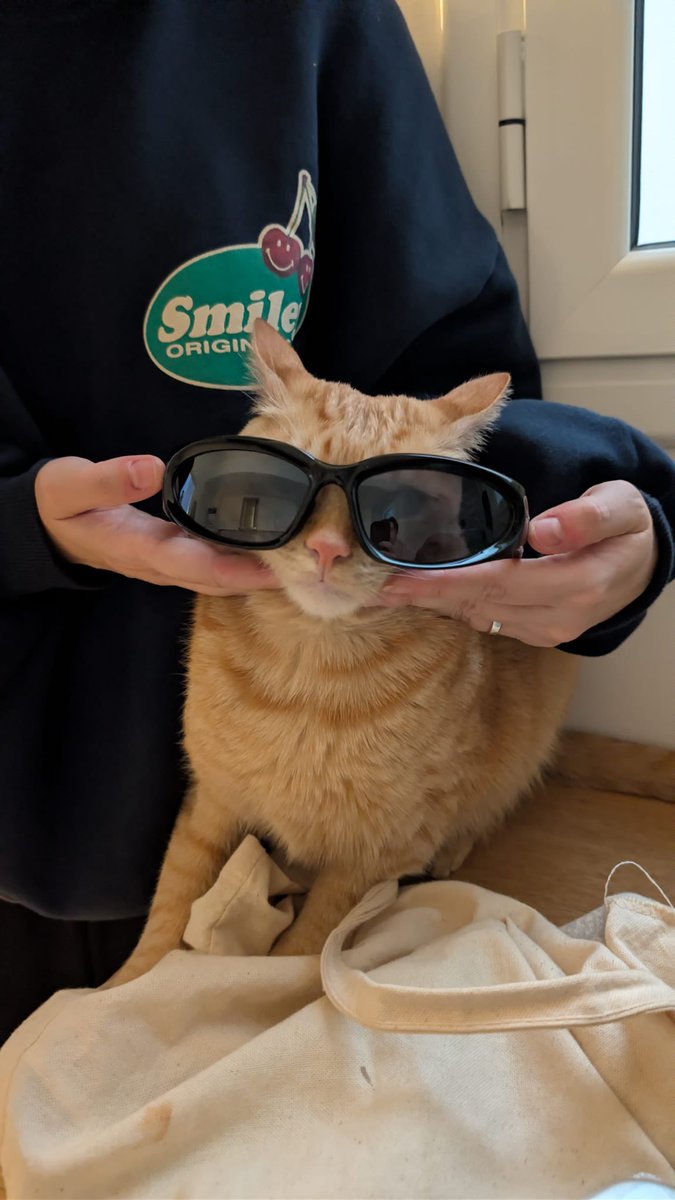 L∀ᴜʀ∀ | 𝕸𝔞𝖞𝖍𝖊𝖒 tweet media