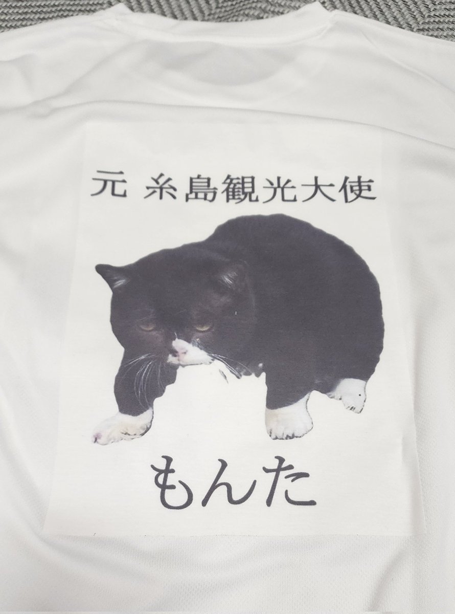 h_1629's tweet photo. 福岡マラソン2025完走しました。自作のもんたTシャツで走りましたが、沿道の方から「あ、もんたや！」「もん��ゃーん！」と声をかけられ、もんたが糸島のみんなに愛されていたことに改めて気づかされました。
ありがとう、もんた。ありがとう、糸島。（続く）
#福岡マラソン
#もんたの日常 https://t.co/dWNWwZtWuM