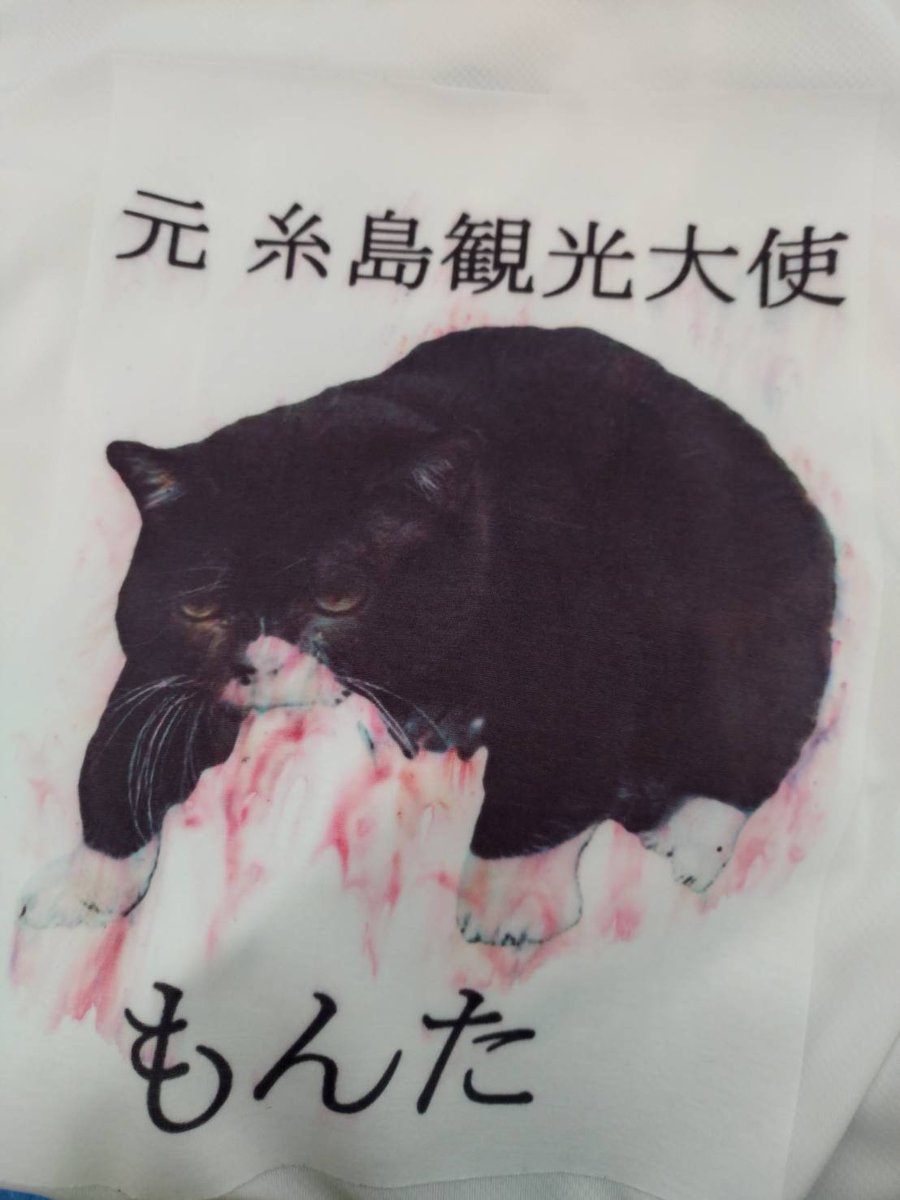 h_1629's tweet photo. 完走後、Tシャツを脱いだ後にもんたを見ると、雨と汗でおどろおどろしい感じになってた。
気づかずにずっと走ってた。

ごめん、もんた。 https://t.co/RBAkedieny