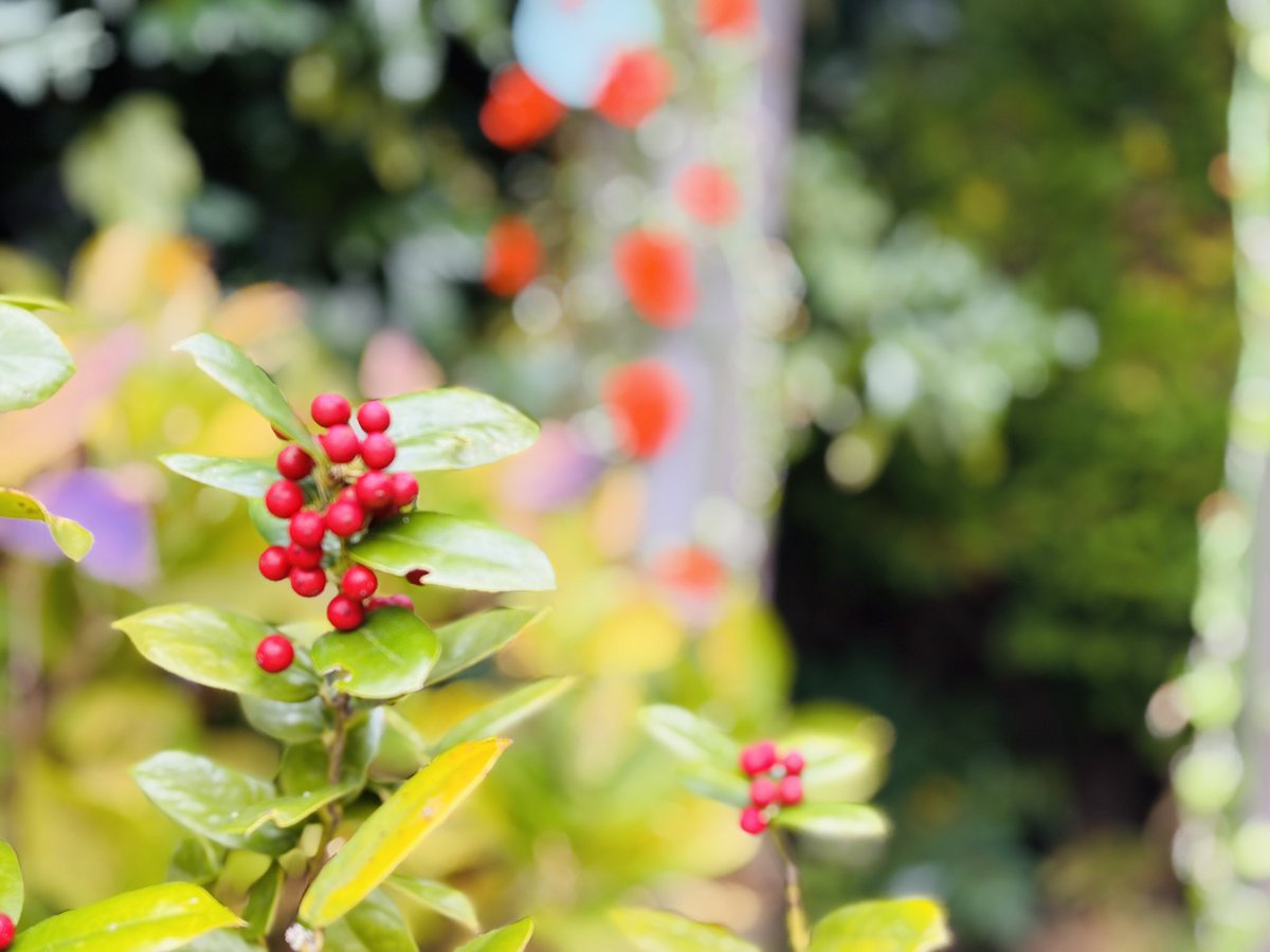 「いい子だね」「いい会社」「いい人生」
でもそれ、誰の基準？

いつのまにか“いい”の中で、自分を評価していませんか。
“いい”って、ほんとうにいいの？
 #学校では教わらないシリーズ #自己理解 #ご自愛