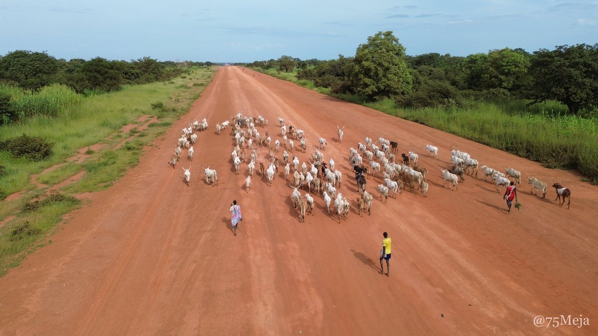 Meja|梅贾🇸🇸🇰🇪🇨🇦 tweet media