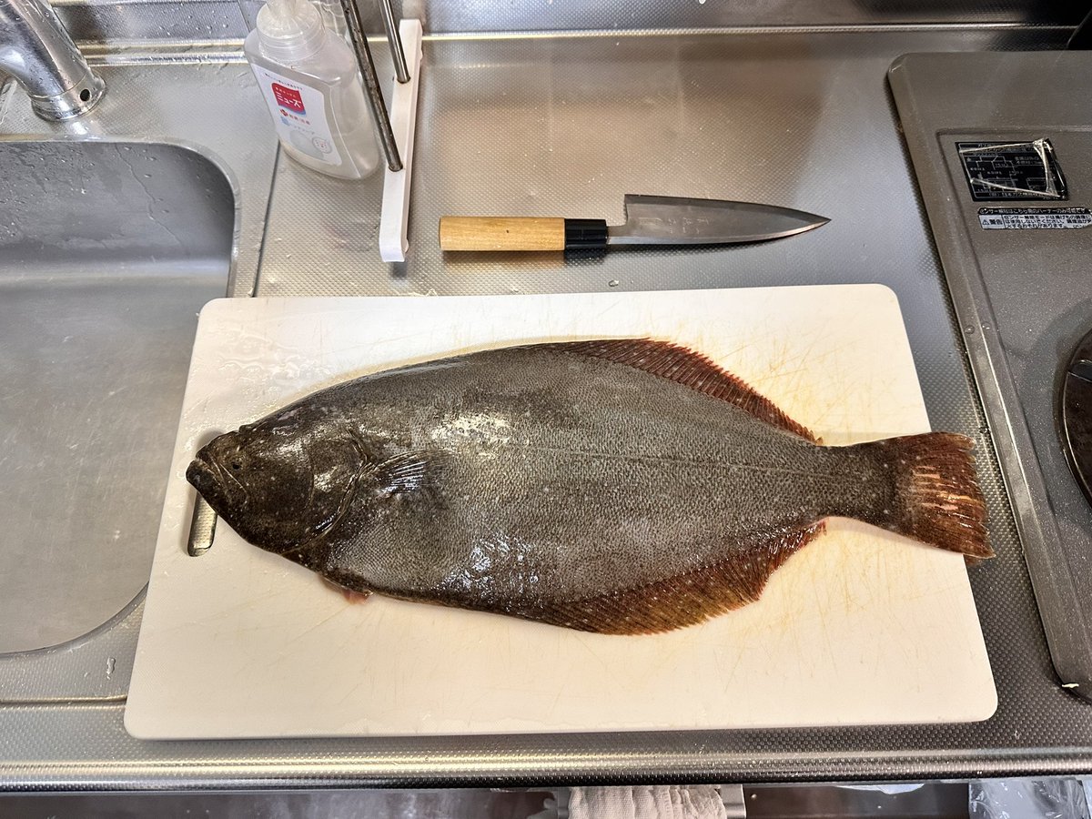 marusts's tweet photo. 秋ヒラメ
もう
晩秋
旨味開花 https://t.co/o0xMUiZhsb