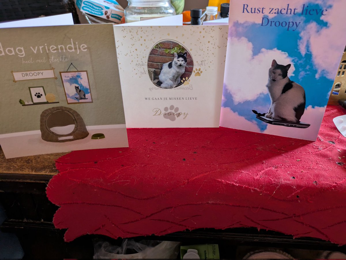 DroopyQuin76535's tweet photo. Lieve kaartjes gekregen van @Charlie_met_i_e  met vrouwtje Susanne ,

@Puck_en_Zorro en Bella met Vrouwtje Patricia 

En @SjakoDenAap   met Monique 

Heel erg lief van jullie dat jullie aan Droopy blijven denken .. ❤️ dank jullie wel... https://t.co/2lTGeZuI08