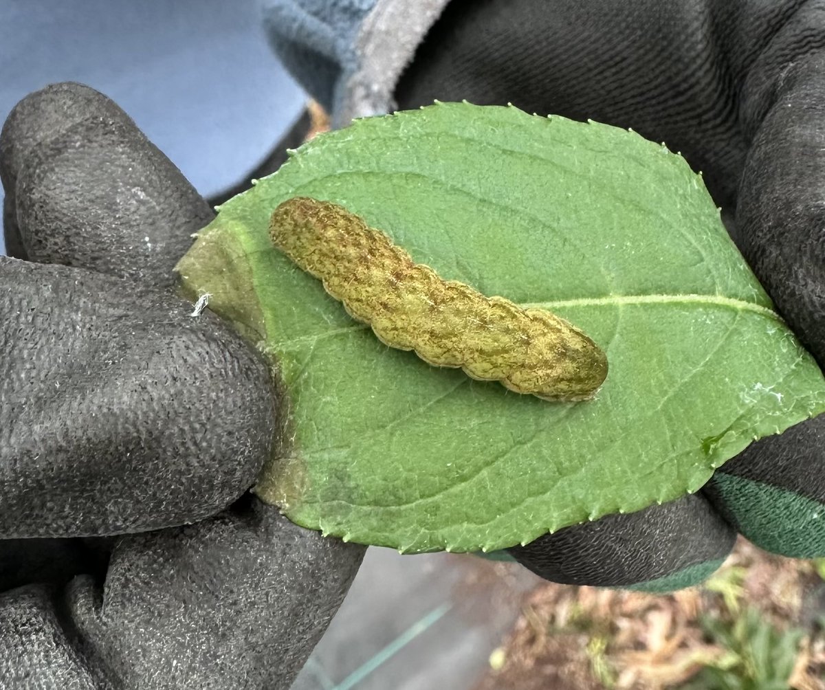 GerryC🏇🏾 tweet media