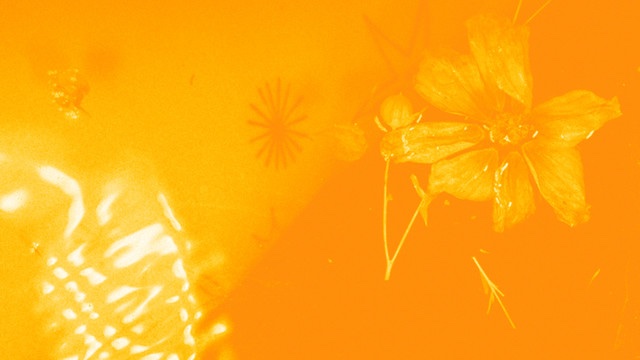 gtqlizer's tweet image. DISCOVER NEW SONGS

Rebecca Vasmant, Jamz Supernova, Karen Nyame KG #ukbass gtqlizer.blogspot.com/2025/11/rebecc…

Butterfly d&apos;Effect #nujazz
gtqlizer.blogspot.com/2025/11/butter…

Conscious Dreaming #psychedelicfunk
gtqlizer.blogspot.com/2025/11/consci…