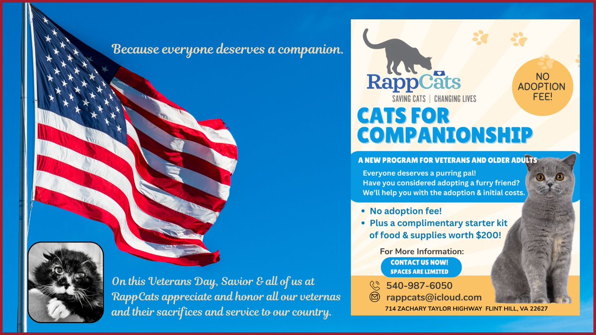 🇺🇸On this Veterans Day, #Savior wants to remind you: our Cats for Companionship program helps veterans &amp; older adults adopt a cat or kitten. We waive the adoption fee + provide food &amp; supplies valued at $200. Please share. Everyone deserves a loving companion.❤️
#cats #Veterans