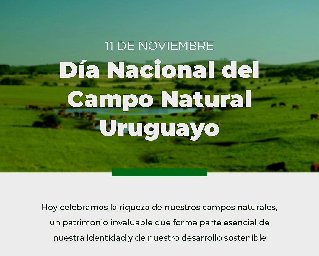 nqueheille's tweet photo. https://t.co/o0XPkcqwJW