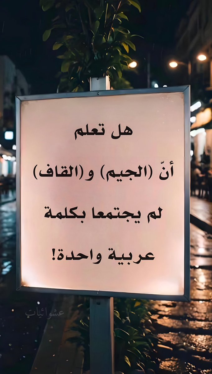 شرايكم ؟