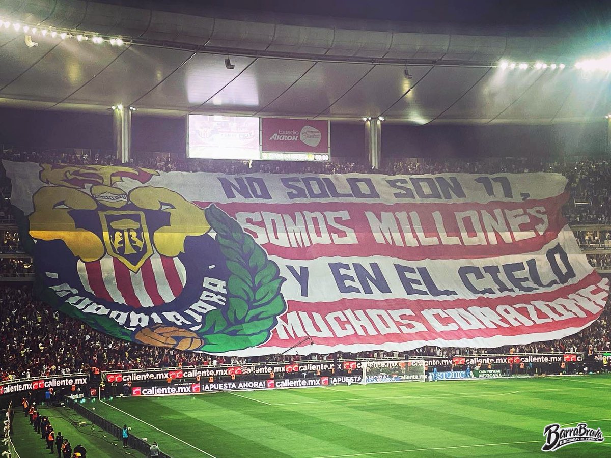 Barra Brava tweet media