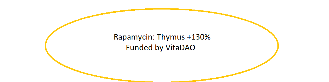 NguyenDoHoangNa's tweet photo. Chào anh em @xeetdotai và cộng đồng @DeSciNews, hôm nay có 1 số thông tin hot về $DeSci mình muốn cập nhật cho anh em như sau
 1/5
CẢ THẾ GIỚI ĐANG SỐC NẶNG vì 1 nghiên cứu vừa được công bố cách đây vài tiếng:Thuốc Rapamycin (liều ngắn) làm trẻ hóa tuyến ức (thymus) ở chuột già tới… 130%
→ Tăng sản xuất T-cell mới lên 85%
→ Hệ miễn dịch như trẻ lại 20-30 tuổi Đây là phát hiện lớn nhất về longevity trong năm 2025 cho tới giờ!
@DeSciNews
@xeetdotai 

2/5
Tuyến ức là “nhà máy” sản xuất T-cell (tế bào miễn dịch chính).
Ở người bình thường, sau tuổi 50 nó teo đi 90-95%, dẫn tới ung thư, nhiễm trùng, tự miễn tăng vọt.Nghiên cứu này (preprint trên bioRxiv hôm nay) cho thấy chỉ cần dùng Rapamycin 8 tuần ngắn → thymus to gấp đôi, hoạt động như tuổi 20!
3/5
Điều điên rồ nhất:
Nghiên cứu này KHÔNG do Big Pharma tài trợ
Mà được fund 100% bởi cộng đồng VitaDAO → $520k on-chain năm 2024
Toàn bộ dữ liệu, IP-NFT đều public trên Molecule Protocol Đây chính là DeSci thực sự – khoa học không còn bị gatekeep nữa!
4/5
Link paper gốc (mới ra 3 tiếng trước):
 https://t.co/3cRZhKtrxm
5/5
2025 là năm mà chúng ta không còn chờ FDA 15 năm nữa.
Longevity escape velocity đang tới rất gần… và DeSci chính là người cầm lái.Mày nghĩ breakthrough nào sẽ giúp con người sống khỏe 120+ tuổi trước? Rapamycin, Yamanaka factors, hay Plasma dilution?Reply bên dưới đi, tao rep hết!
@DeSciNews
@xeetdotai
https://t.co/kQA2pm8psA