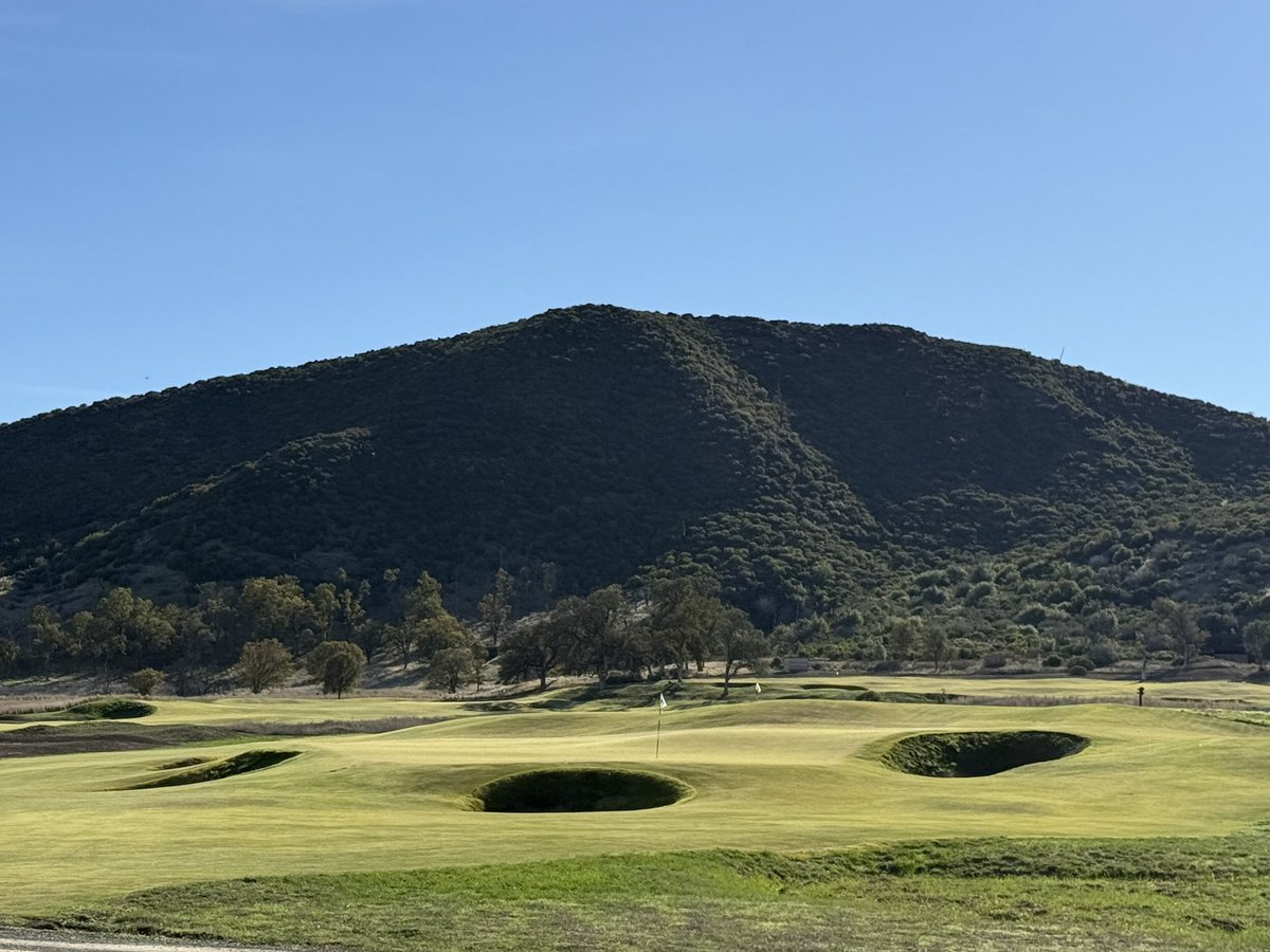 Rick Golfs tweet media