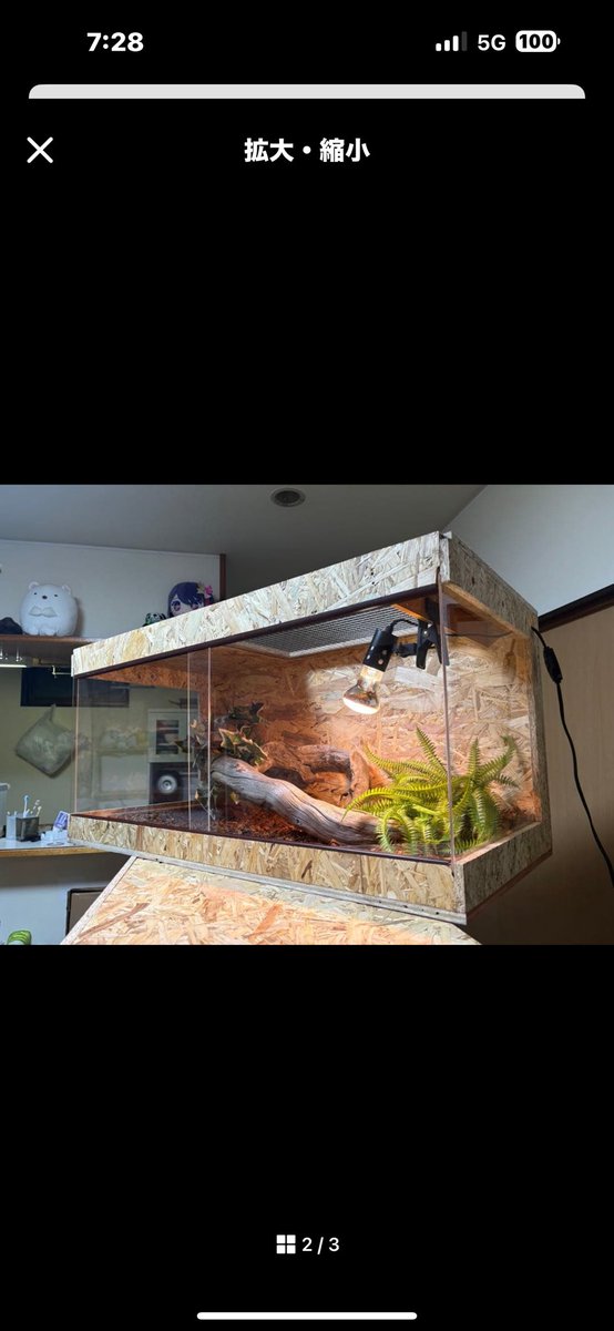 yuma爬虫類ケージ工房様 リクエスト 4点 まとめ商品 yuma爬虫類ケージ