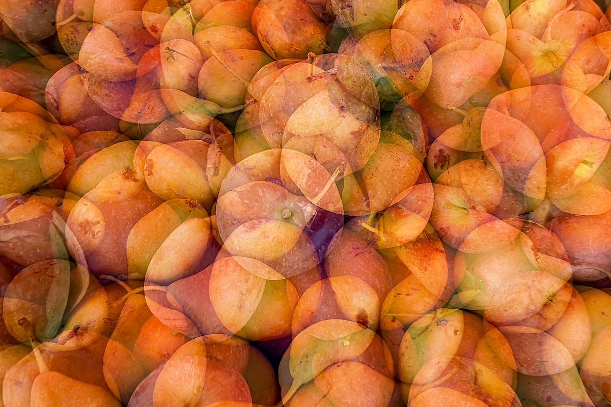 slitoff's tweet image. Check out this abstract photography of fruit at farmers market in Greece.  1-stuart-litoff.pixels.com/featured/greec…

#abstract #abstractart #abstractphotography #multipleexposures #fruit #food #foodphotography #greece #market #farmersmarket