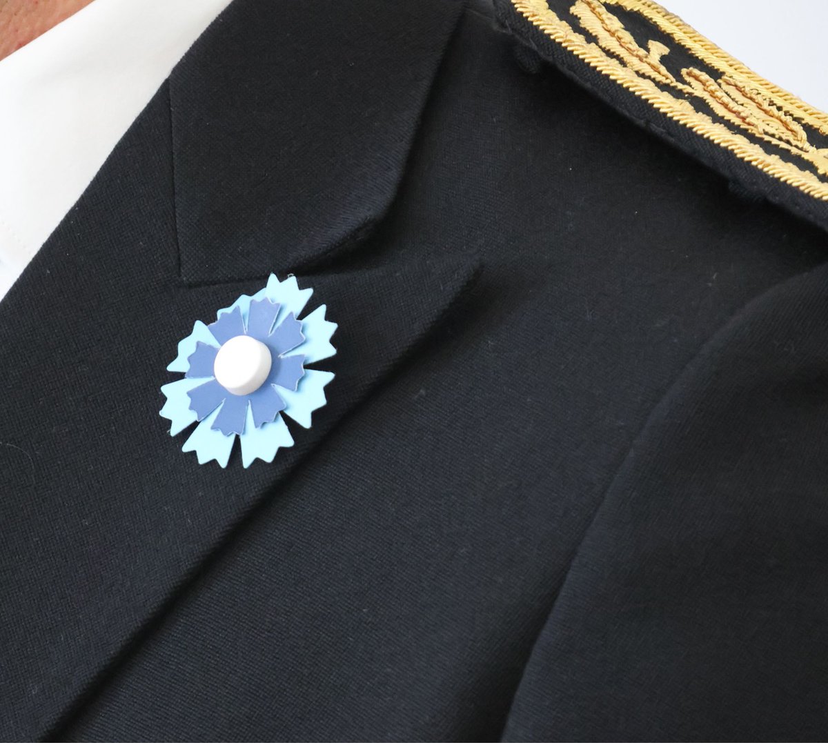 #Memoire | Aujourd’hui, la Nation rend hommage à tous les Morts pour la France.
Souvenons-nous du courage de celles et ceux qui ont défendu notre liberté.

📍 Le Préfet et les sous-préfets ont présidé les cérémonies commémoratives à Pau, Bayonne, Larressore et