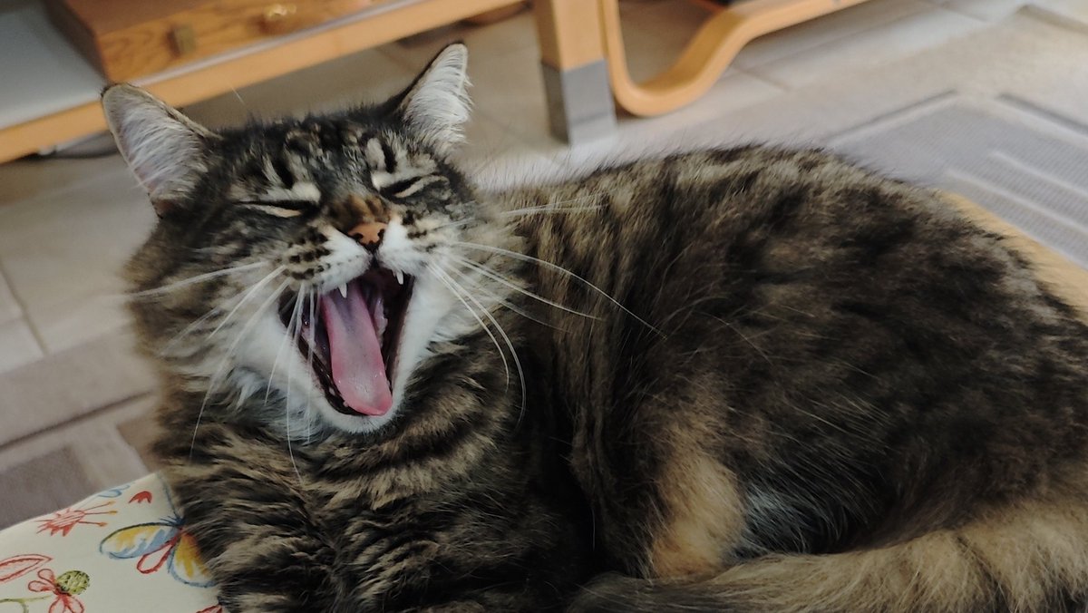 jayfluenc's tweet image. life outside twt ✨