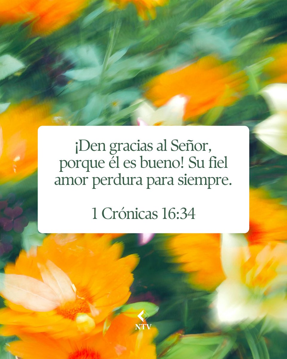 BibliaNTV's tweet photo. Nunca olvides agradecer a Dios por Su amor infinito.

#GraciasADios #AmorEterno
#VersículoDelDía
#NTV #Biblia #VersiculosBiblicos #JovenesCristianos
#PazVerdadera #Salmos https://t.co/tFip0zr7rv