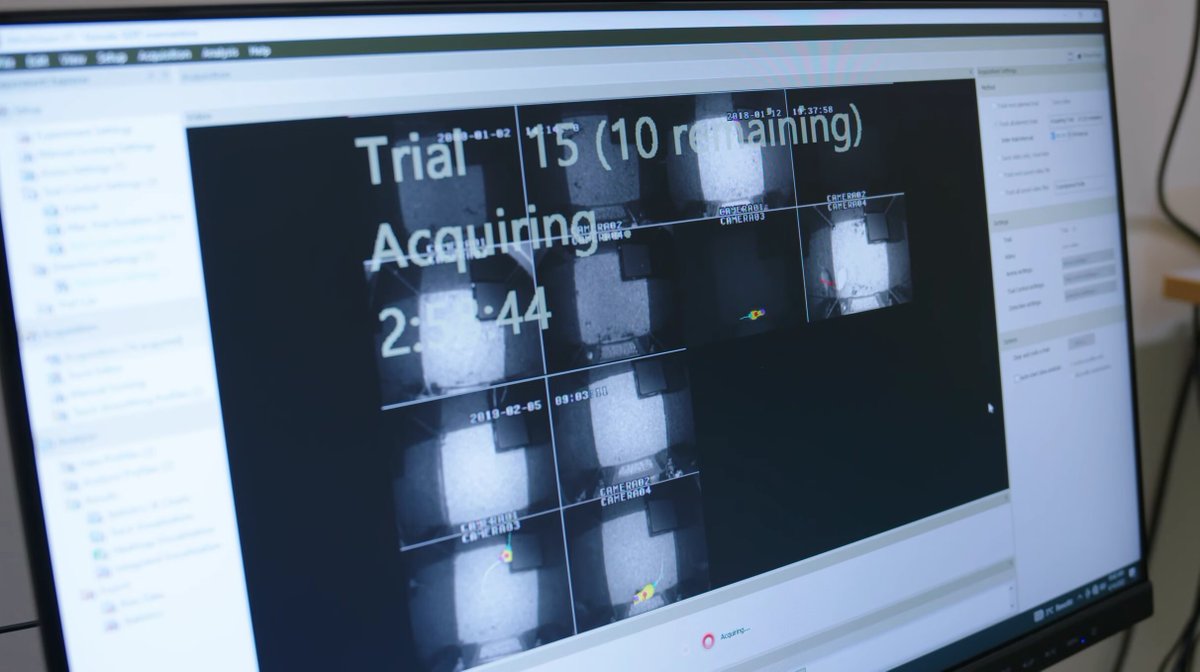 NoldusIT's tweet image. Studying #BipolarDisorder through long-term behavior tracking 🧠
Researchers at @DondersInst use EthoVision + PhenoTyper to monitor rats continuously — uncovering how behavior links to brain function.
Learn more: hubs.li/Q03SdSQQ0
#BehavioralResearch #EthoVision #PhenoTyper