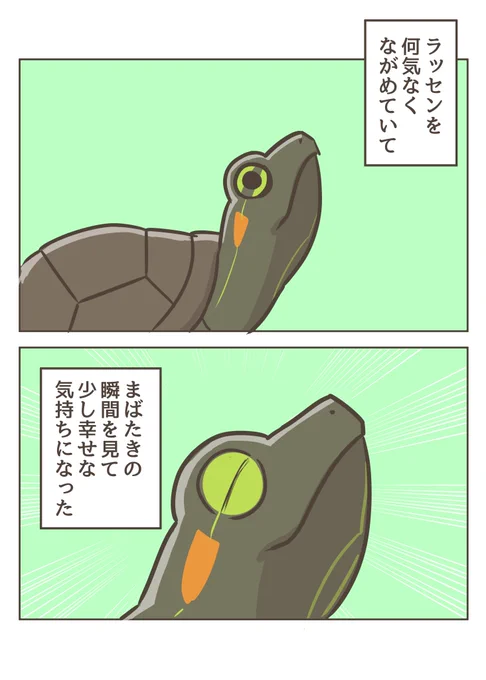 レア #カメのあずかりレポ漫画 