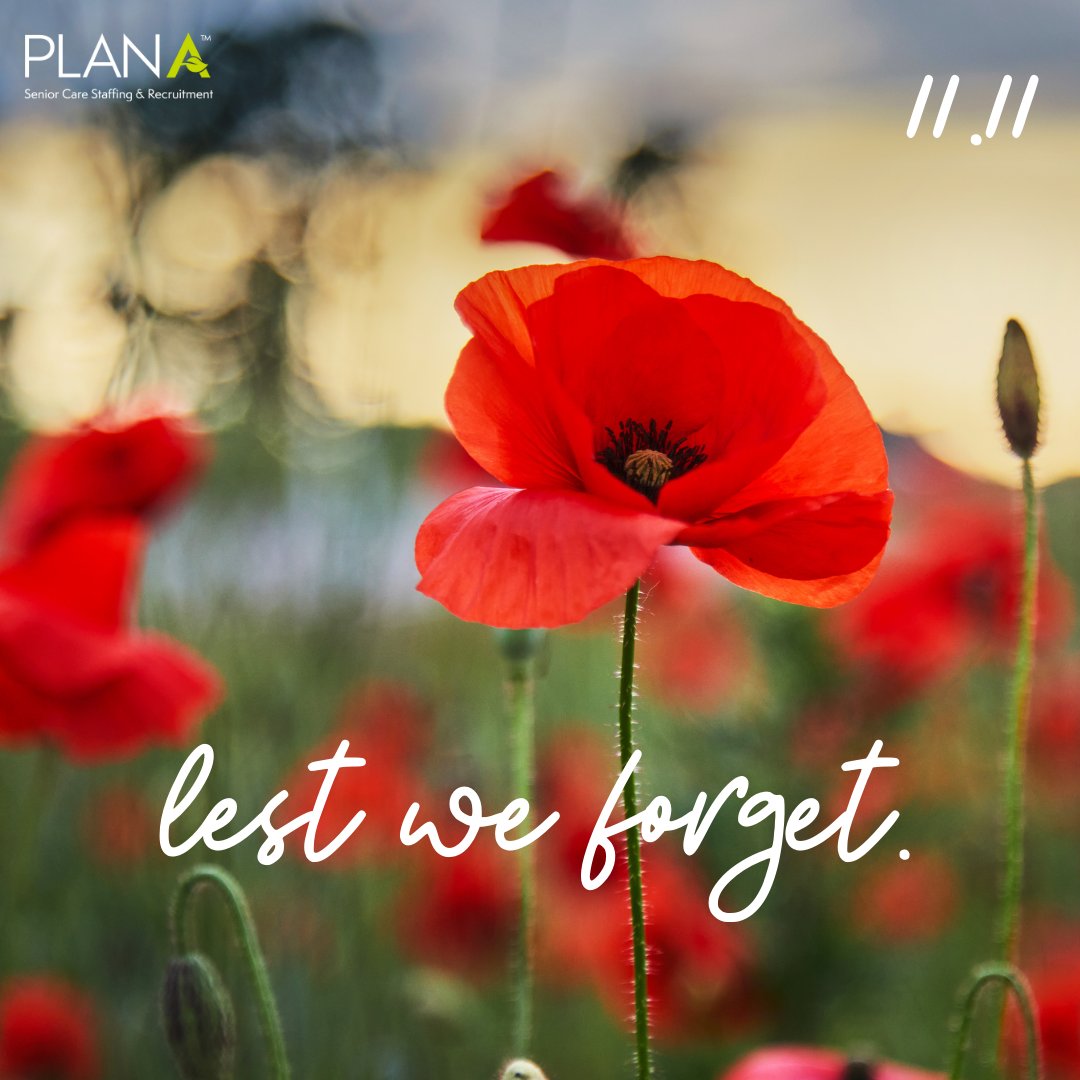 PlanALTC's tweet image. Today, we pause to honor and remember the brave men and women who have served our country. Their courage, dedication, and sacrifices have shaped the freedoms we enjoy today.

Lest we forget, and may we always carry their legacy with gratitude and respect.