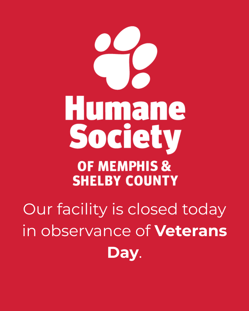 Our facility, including intake and adoption, is closed today in observance of Veterans Day. We'll be back in action tomorrow!