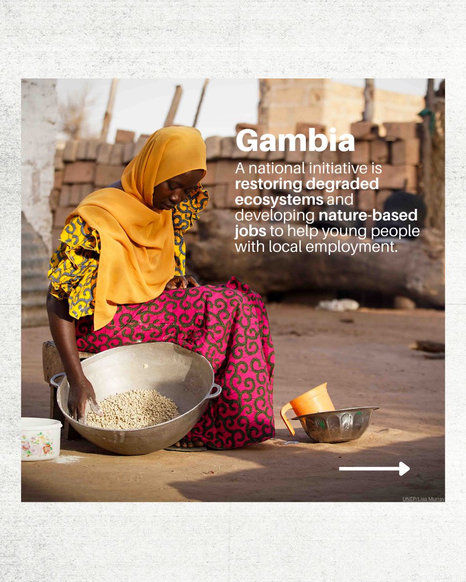 adapt2win.org tweet media