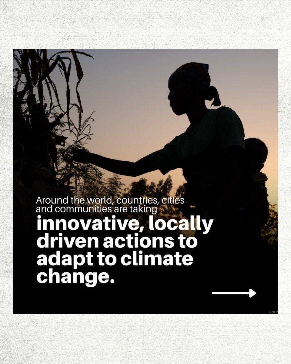 adapt2win.org tweet media