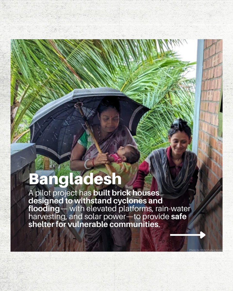 adapt2win.org tweet media