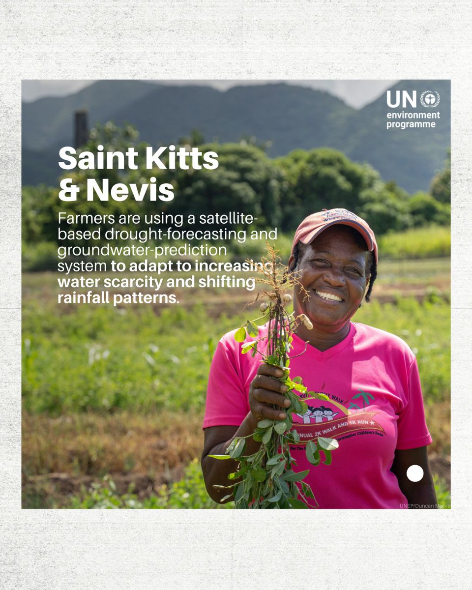 adapt2win.org tweet media