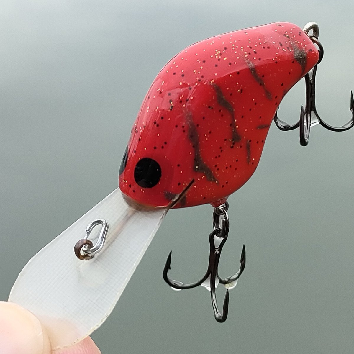 ザリガニページです。 ザリガニページです。 2025年最新】Yahoo