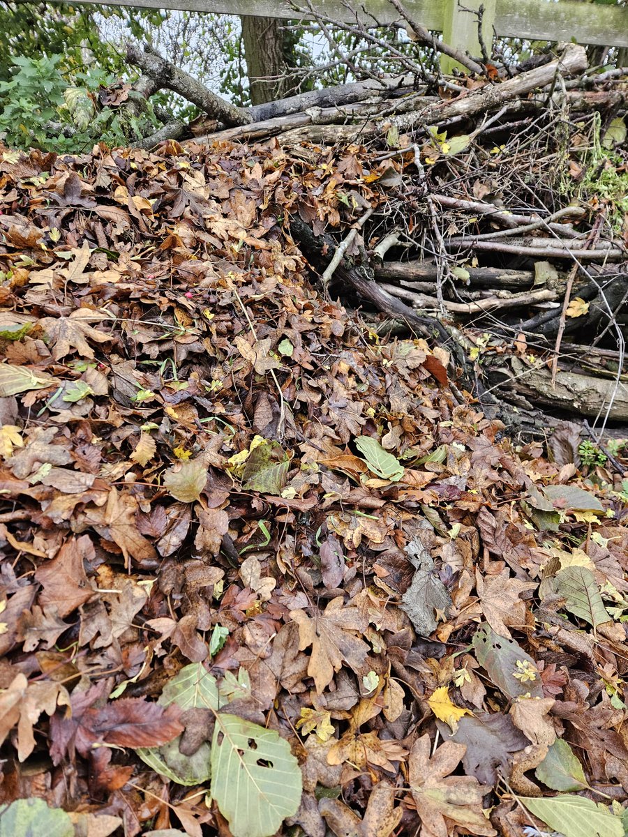 Thames Chase tweet media