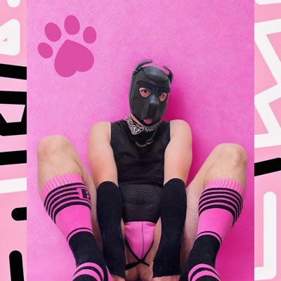 Tolly (@PupTolly) / Posts / X
