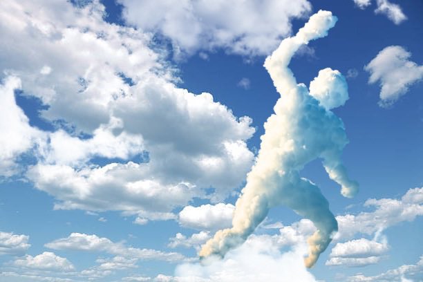 if you’re left-brained you’ll see a dog. 
if you’re right-brained you’ll see a truck.