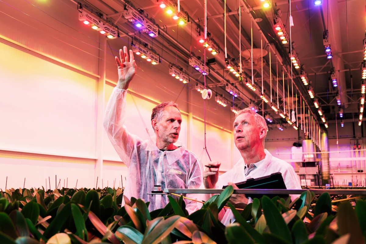 Greenity tweet media