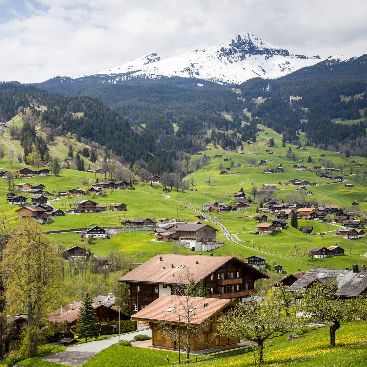 GlobalStatsX's tweet image. ✨Best Places to Visit in Europe (2025)

1. 🇨🇭 Swiss Alps  
2. 🇮🇹 Rome  
3. 🇮🇹 Venice  
4. 🇬🇧 London  
5. 🇫🇷 Paris  
6. 🇮🇹 Florence  
7. 🇳🇱 Amsterdam  
8. 🇪🇸 Barcelona  
9. 🇨🇿 Prague  
10. 🇬🇷 Athens  
11. 🇦🇹 Vienna  
12. 🇪🇸 Seville  
13. 🇮🇹 Lake Como  
14. 🇭🇺 Budapest  
15. 🇵🇹…