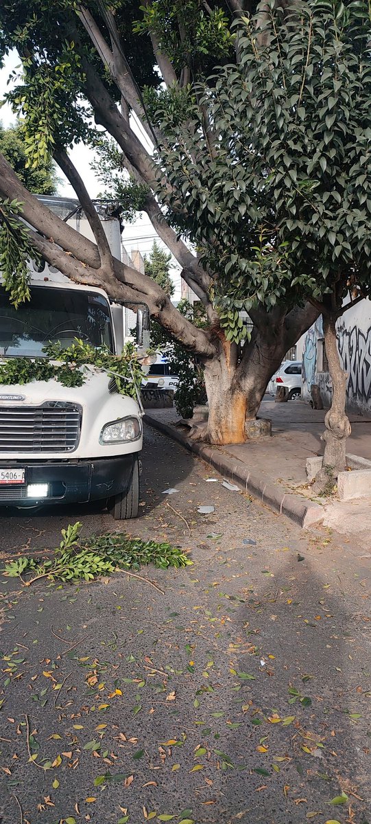 omarolvera2323's tweet photo. Calle Minerva  y esq.  22 de febrero colonia  centro Azcapotzalco nos urge apoyo de protección tenemos un aprobaría en riesgo@pcuamazc https://t.co/VSdcH5MPJ3