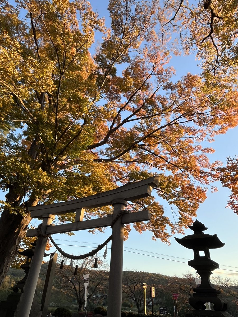 shiratori_jinja's tweet image. 11月12日(水)ですが
御朱印は終日書置き対応になります。
よろしくお願いいたします。