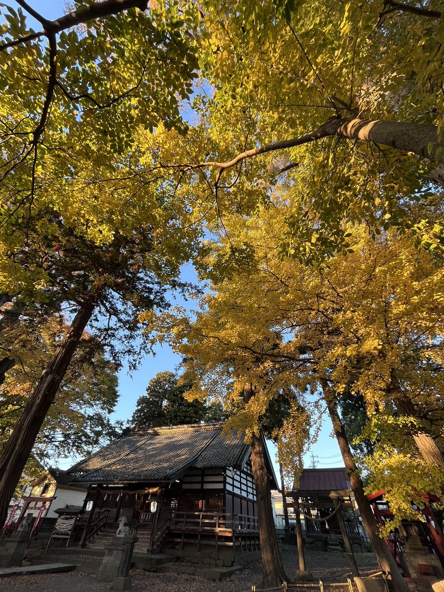shiratori_jinja's tweet image. 11月12日(水)ですが
御朱印は終日書置き対応になります。
よろしくお願いいたします。