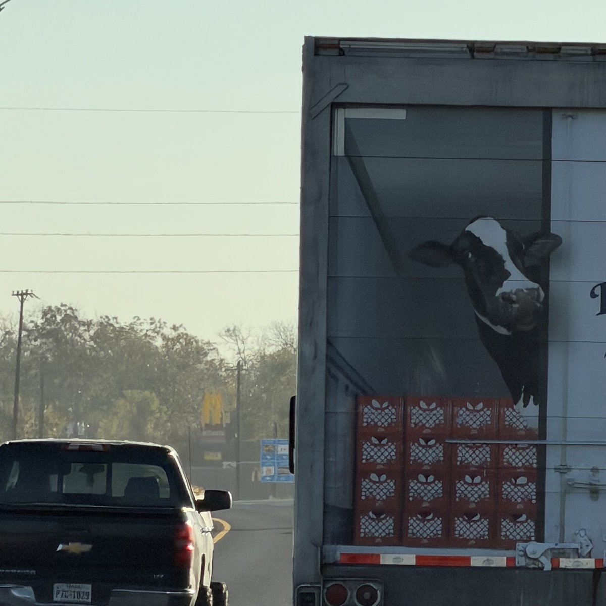 towgoing's tweet image. Muuuuenos díaaaas!!!