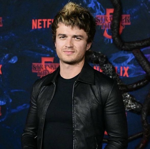 acervodjoe's tweet photo. Joe Keery não está no Brasil (ainda) https://t.co/GnFiWTEBpz