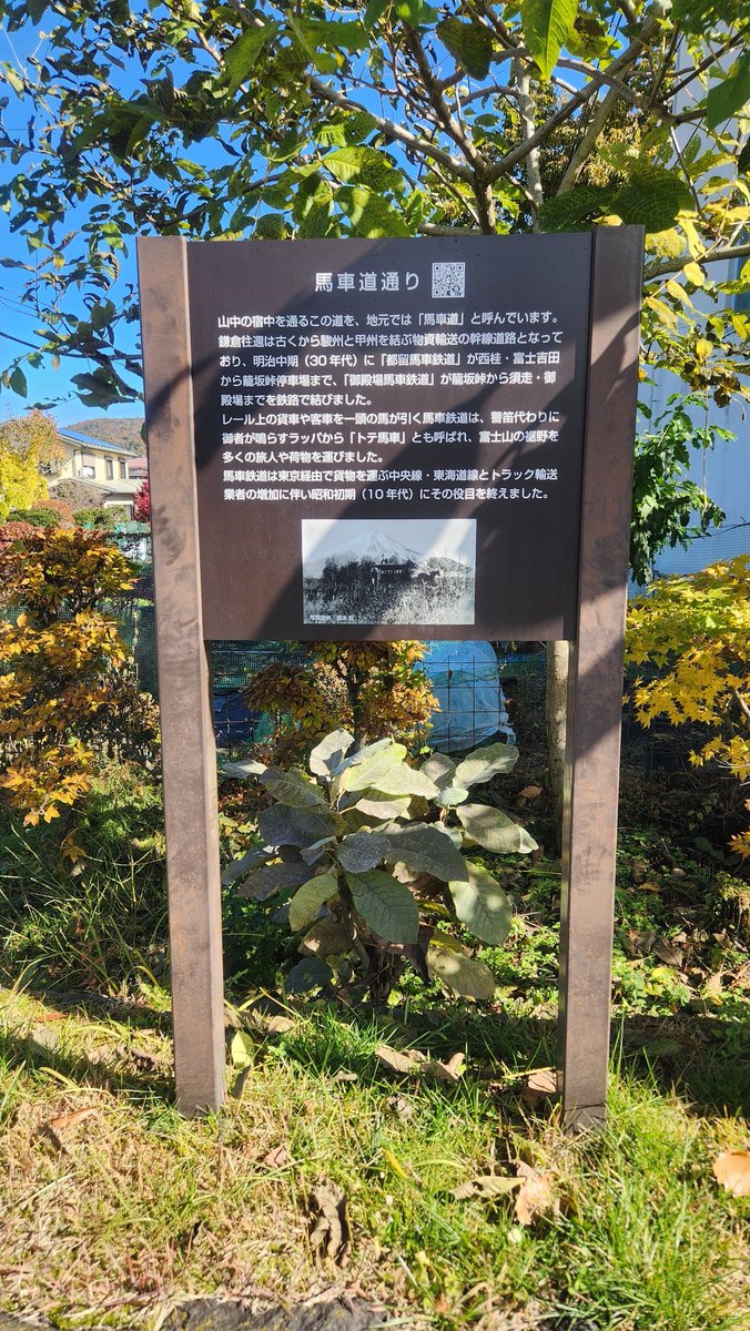 風景 森の小道 森の小道 〜 forest path | Koziro Hasegawa | Flickr