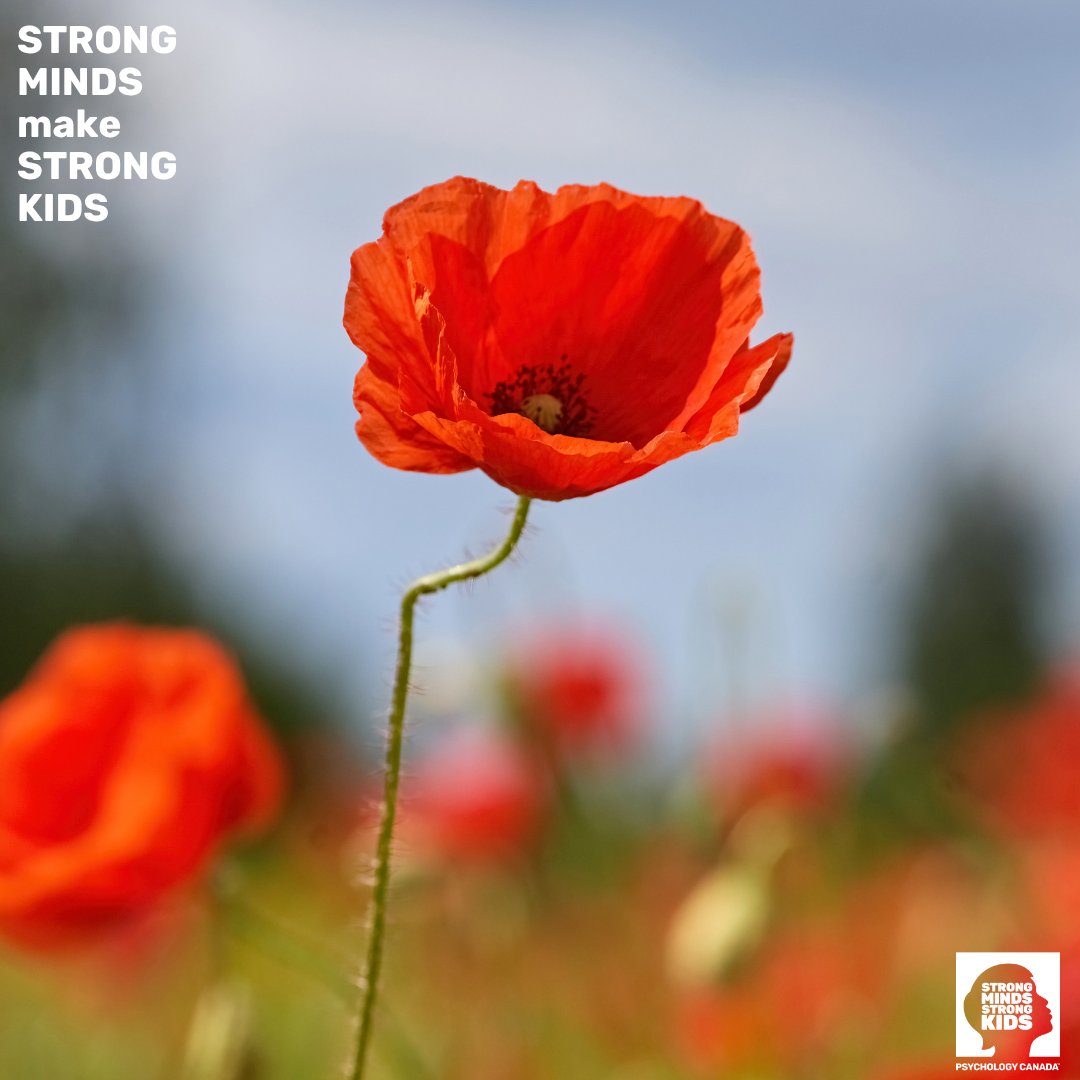 On this #RemembranceDay, we pause to reflect on the courage and sacrifice of those who served our country. May we always remember their legacy and strive for peace.

#RemembranceDay #LestWeForget