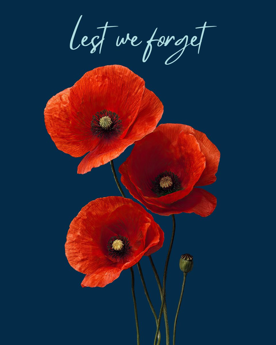 Today, on Remembrance Day, we honour those who have served and continue to serve to defend peace in Canada and around the world. November 11 marks the end of hostilities during the First World War and is an opportunity to recall all those who have served in the nation’s name.