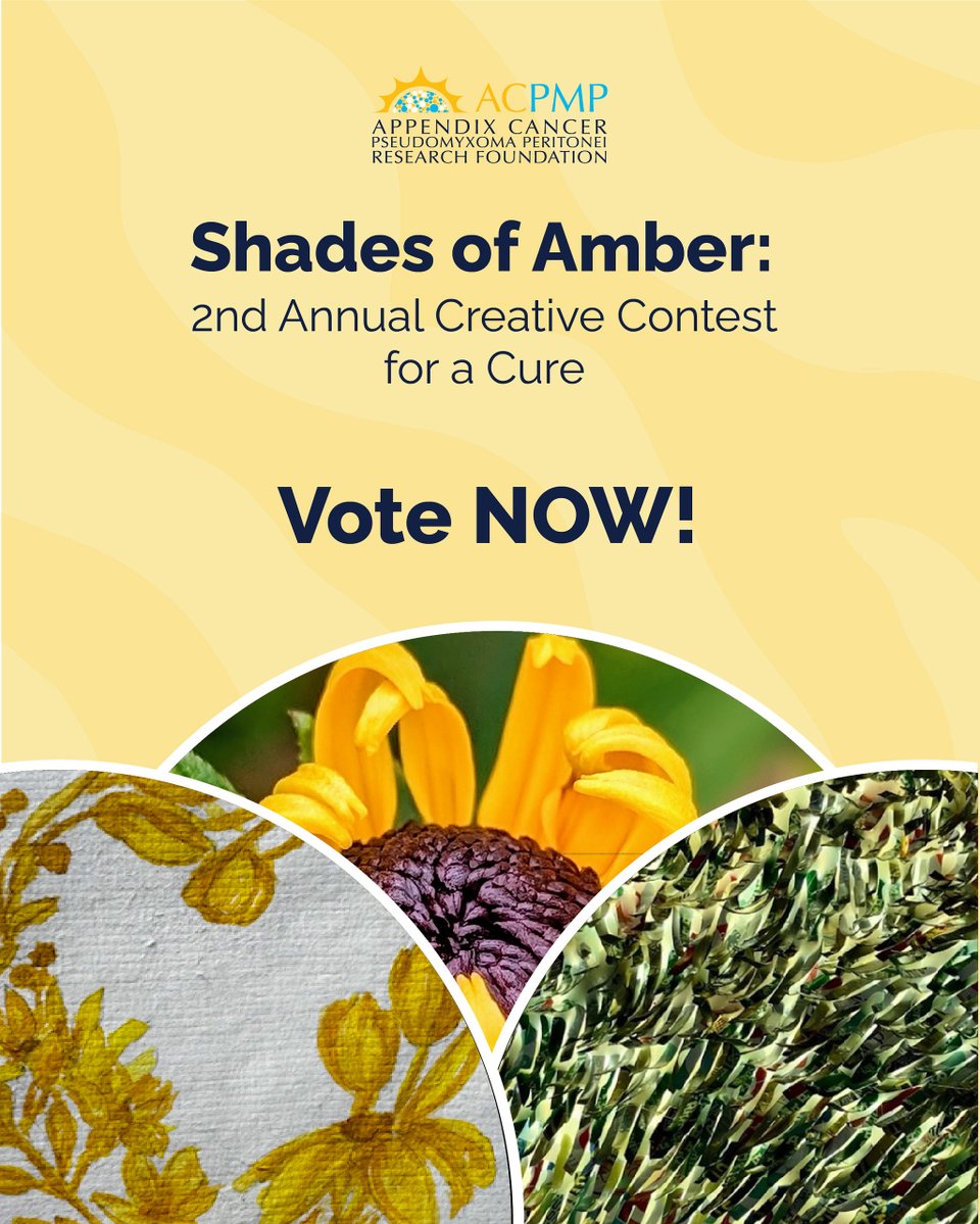 acpmpresearch's tweet image. 🗳️ Voting is open for the 2nd Annual Shades of Amber: Creative Contest for a Cure!

Cast your vote: acpmp.org/event/shades-o…

#ShadesOfAmber #AppendixCancerAwareness