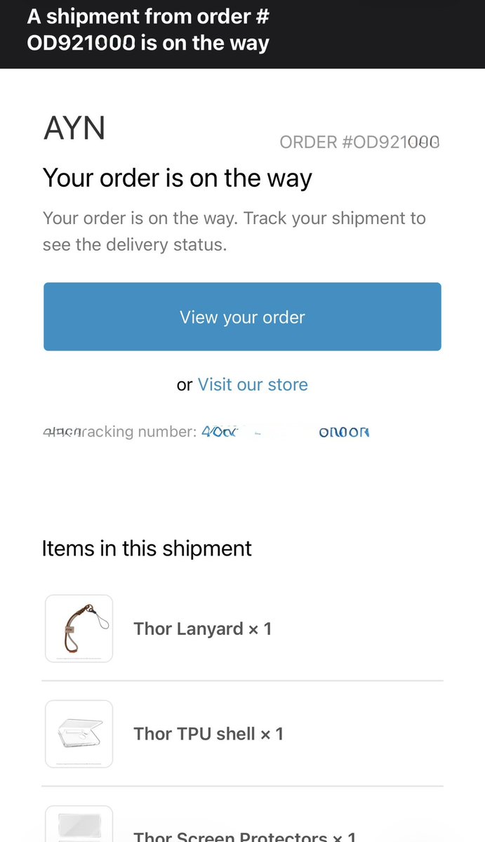 BackLogHell's tweet image. AYN Thorやっと発送された！無事に着くと良いなぁ😆