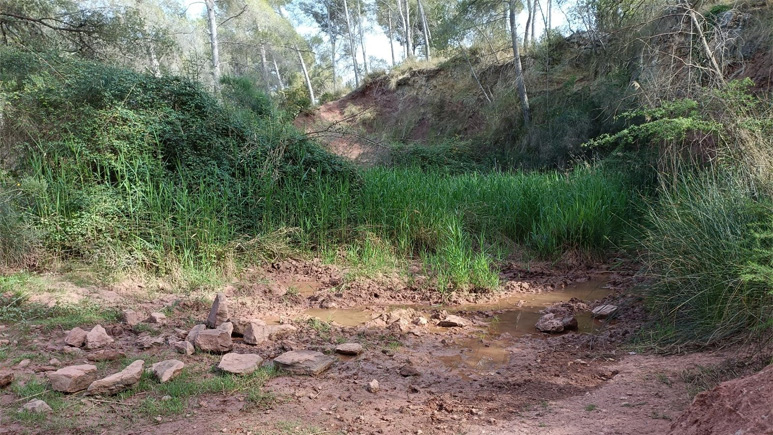 Diputació de Barcelona tweet media