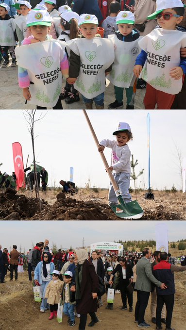 First image shows two women in green vests and hats kneeling to plant a sapling in soil with pine trees and mountains in sunny background. Second panel features two smiling women in green vests holding a young tree sapling. Third panel displays a group of adults and children standing in front of a banner reading Yeşil Vatan with a tree emblem. Second image depicts women in green hats and vests posing near planted saplings with Turkish flags and a banner for Ilgolu district. Lower section shows children in vests near potted plants and a Yeşil Vatan banner, plus a boy watering a sapling with a green watering can while adults plant trees. Third image portrays young children in white vests with Nefes printed, standing together smiling. Middle panel shows a child in white clothing holding a shovel next to a planted tree with Turkish flag. Bottom panel features a diverse crowd including children and adults walking with seedlings and bags toward a planting area. Fourth image illustrates a girl in green vest using a shovel to plant a tree with an adult assisting, soil mound visible. Middle panel shows a toddler boy sitting on grass holding a watering can next to a young tree with flags in background. Bottom panel captures an aerial view of a large group of people planting numerous saplings in a vast field with vehicles nearby.