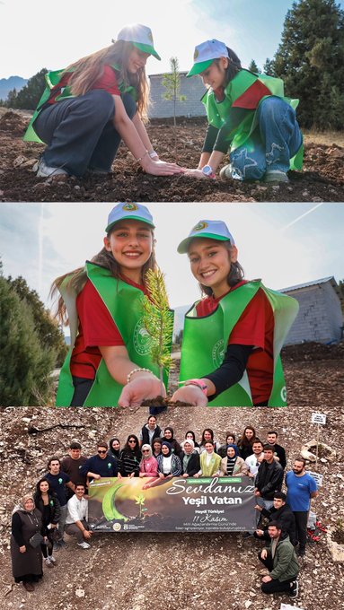 First image shows two women in green vests and hats kneeling to plant a sapling in soil with pine trees and mountains in sunny background. Second panel features two smiling women in green vests holding a young tree sapling. Third panel displays a group of adults and children standing in front of a banner reading Yeşil Vatan with a tree emblem. Second image depicts women in green hats and vests posing near planted saplings with Turkish flags and a banner for Ilgolu district. Lower section shows children in vests near potted plants and a Yeşil Vatan banner, plus a boy watering a sapling with a green watering can while adults plant trees. Third image portrays young children in white vests with Nefes printed, standing together smiling. Middle panel shows a child in white clothing holding a shovel next to a planted tree with Turkish flag. Bottom panel features a diverse crowd including children and adults walking with seedlings and bags toward a planting area. Fourth image illustrates a girl in green vest using a shovel to plant a tree with an adult assisting, soil mound visible. Middle panel shows a toddler boy sitting on grass holding a watering can next to a young tree with flags in background. Bottom panel captures an aerial view of a large group of people planting numerous saplings in a vast field with vehicles nearby.