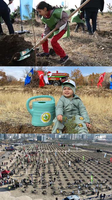 First image shows two women in green vests and hats kneeling to plant a sapling in soil with pine trees and mountains in sunny background. Second panel features two smiling women in green vests holding a young tree sapling. Third panel displays a group of adults and children standing in front of a banner reading Yeşil Vatan with a tree emblem. Second image depicts women in green hats and vests posing near planted saplings with Turkish flags and a banner for Ilgolu district. Lower section shows children in vests near potted plants and a Yeşil Vatan banner, plus a boy watering a sapling with a green watering can while adults plant trees. Third image portrays young children in white vests with Nefes printed, standing together smiling. Middle panel shows a child in white clothing holding a shovel next to a planted tree with Turkish flag. Bottom panel features a diverse crowd including children and adults walking with seedlings and bags toward a planting area. Fourth image illustrates a girl in green vest using a shovel to plant a tree with an adult assisting, soil mound visible. Middle panel shows a toddler boy sitting on grass holding a watering can next to a young tree with flags in background. Bottom panel captures an aerial view of a large group of people planting numerous saplings in a vast field with vehicles nearby.